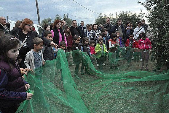 Arriben Les Jornades Gastron Miques Amb Oli Nou D Oliva Verge Extra