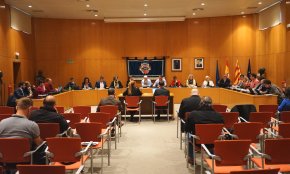 Rebutjada una moció de VOX que exigia la publicació de tota la informació municipal en castellà i català