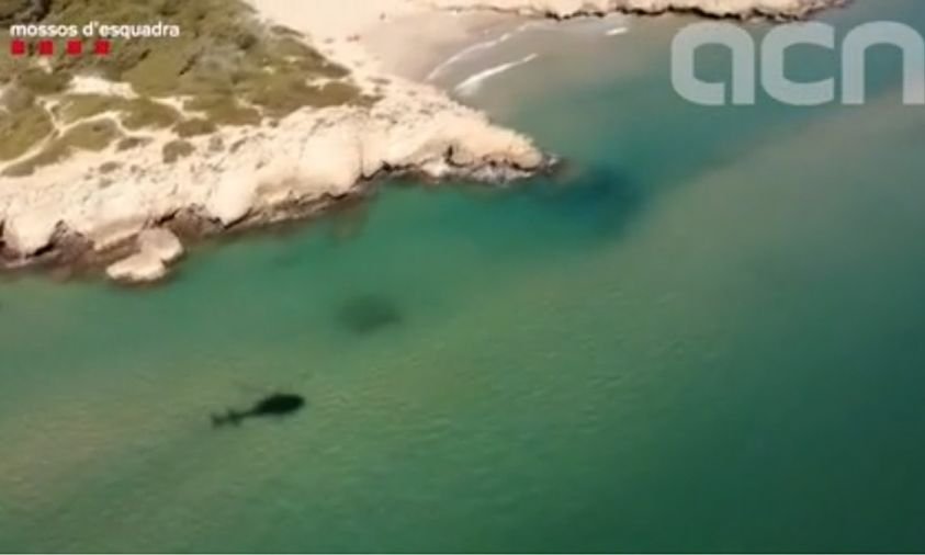 Captura d'imatge d'un vídeo filmat des de l'helicòpter dels Mossos d'Esquadra que va dur a terme les tasques de recerca després de la seva desaparició