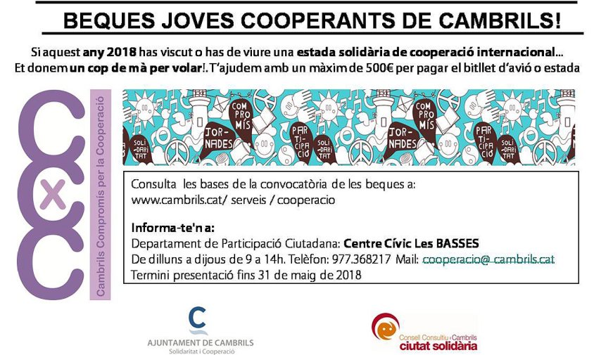 Cartell de la convocatòria de beques per a joves cooperants