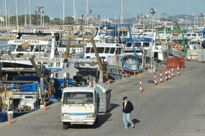 Les 19 barques d'arrossegament inicien la veda anual després d'una temporada marcada per la gran presència de "grom"