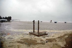 Un fort temporal de llevant provoca la caiguda de més d'un centenar d'arbres a Cambrils