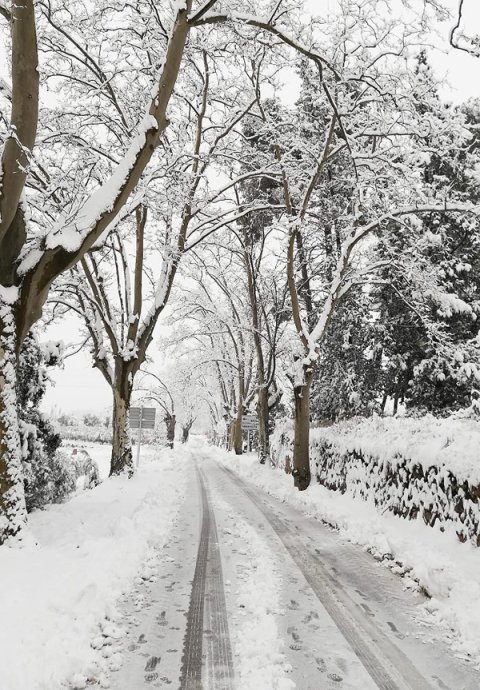 La neu arriba al territori (Tivissa)