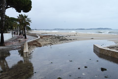 El temporal Filomena en imatges