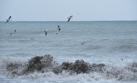 El temporal Filomena en imatges