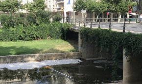 Arrenquen les banderes catalanes d'un dels ponts de la riera d'Alforja