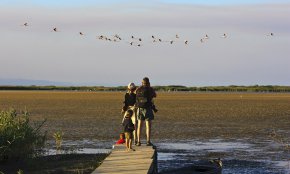 El Premi Jordi Cartanyà s'adreça de nou a les iniciatives turístiques innovadores de la Costa Daurada i les Terres de l'Ebre 