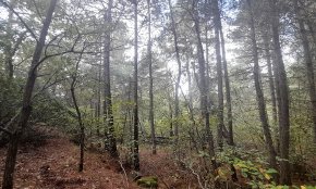 Acció Climàtica anuncia l'inici del procés participatiu per la creació del futur Parc Natural de les Muntanyes de Prades