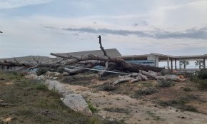 Una empresa constructora tala sense permís diversos pins d'una zona verda municipal al carrer d'Auguste Renoir