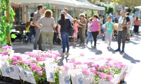 L'Eixample viu la Festa Comunitària centrada en la neteja i la convivència