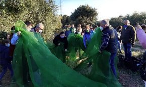 Petits i grans aprenen el camí que fa l'oliva des de l'arbre fins que es converteix en oli en el taller «Ruta per les oliveres»