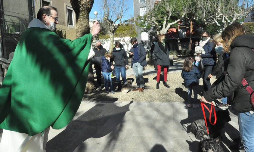 Imatge de la benedicció dels animals al pati de l'Ermita, el 17 gener de l'any passat