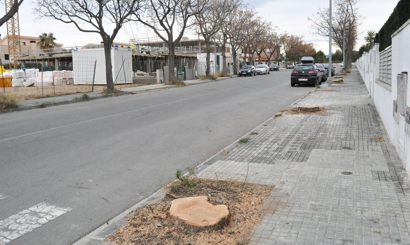 Imatge de la filera d'arbres talats al carrer d'Auguste Renoir, ahir