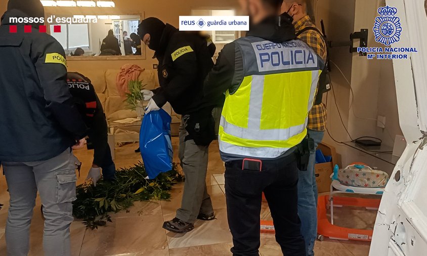 Imatge del dispositu policial dut a terme