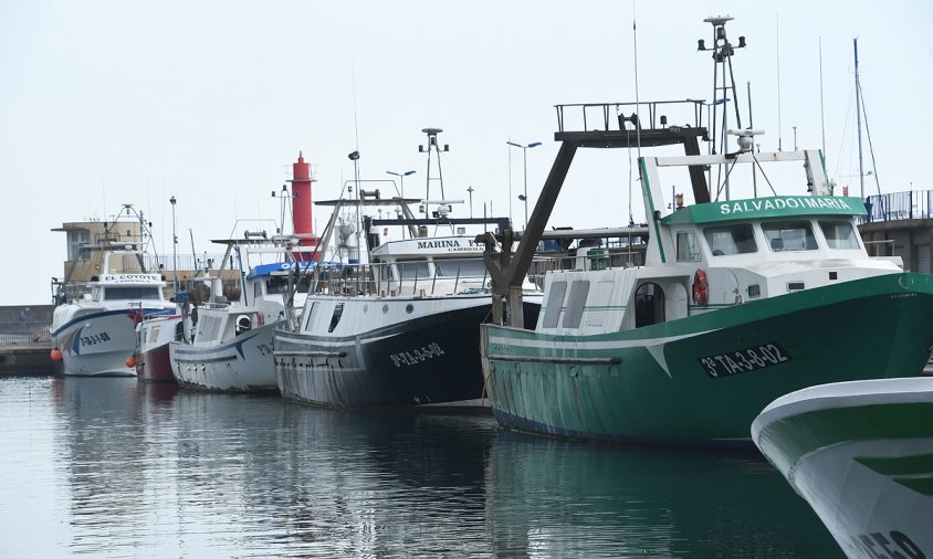 Barques d'arrossegament amarrades al port, aquesta setmana