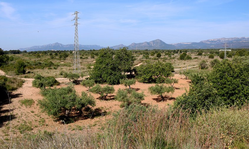 Terrenys on s'ubicarà l'empresa