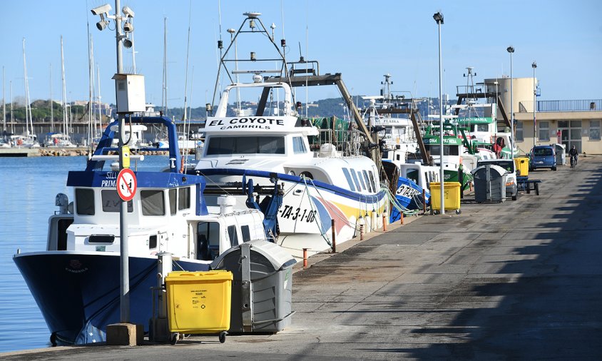 Barques d'arrossegament amarrades al port, ahir al matí