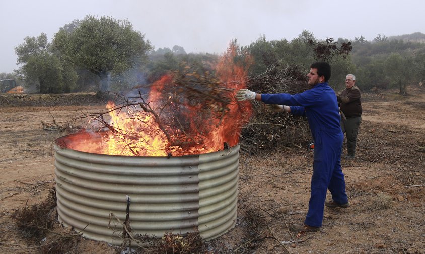 Imatge d'un pagès tirant restes de poda d'una finca