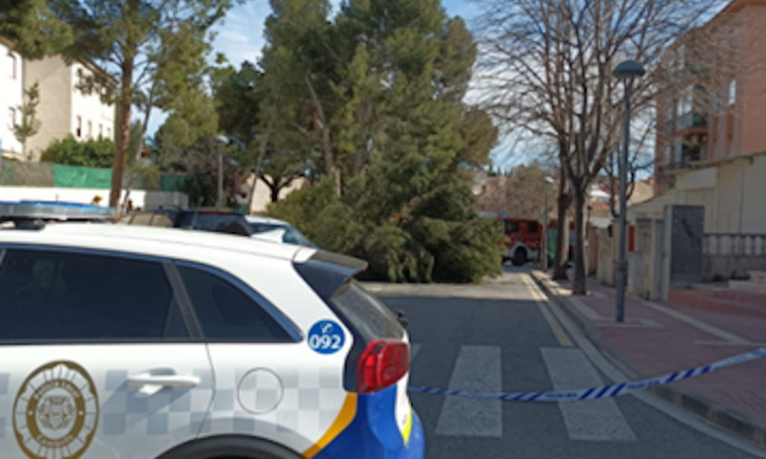 Imatge de l'arbre caigut al barri de Nou Cambrils que va provocar una fuita de gas, ahir al matí