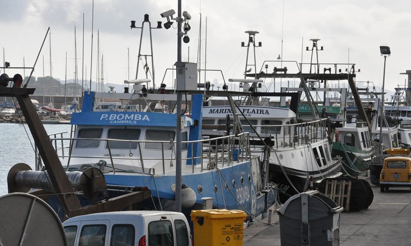 L'activitat pesquera s'ha reprès fa pocs dies després de dos mesos de veda