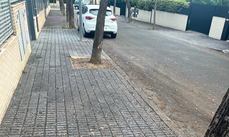 Imatge de la brutícia al carrer Ramón Carreté a Vilafortuny