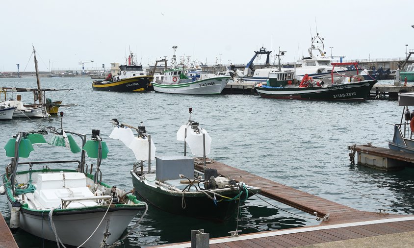 Bots i barques del sector d'encerclament, amarrades al port de Cambrils