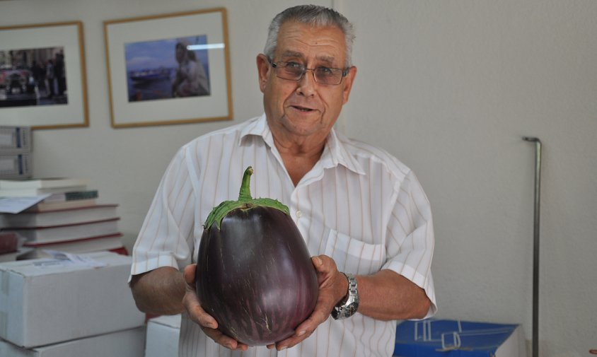 Josep M. Calvo mostra l'albergínia de grans dimensions