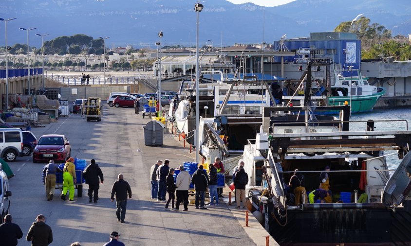 Barques d'arrossegament al Port de Cambrils el passat divendres