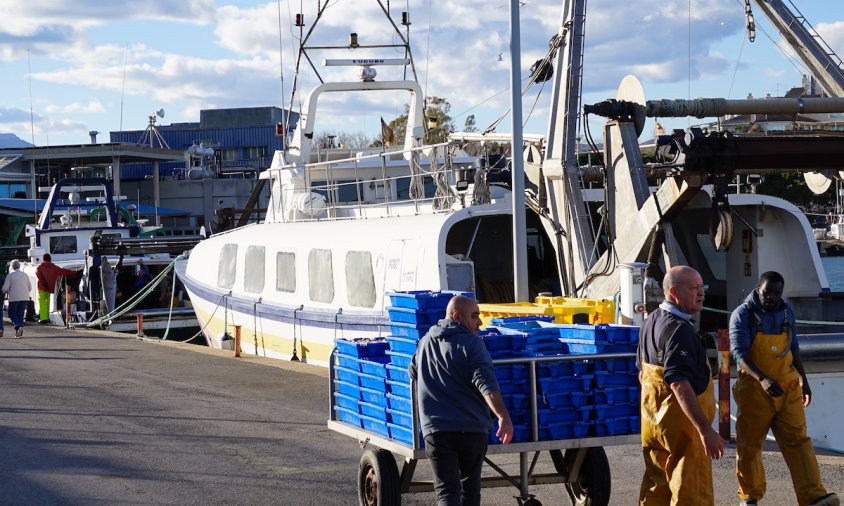 Imatge del moll de pesca cambrilenc, aquest passat febrer