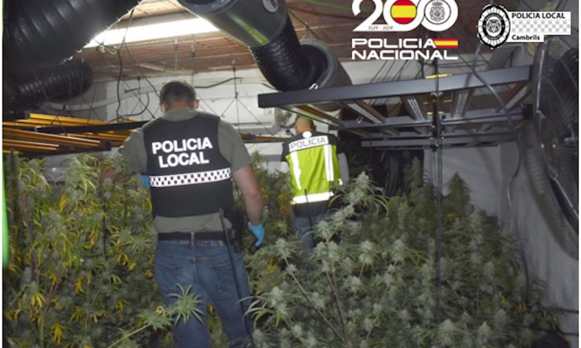 Imatge del dispositiu desplegat per la Policia Local i la Policia Nacional