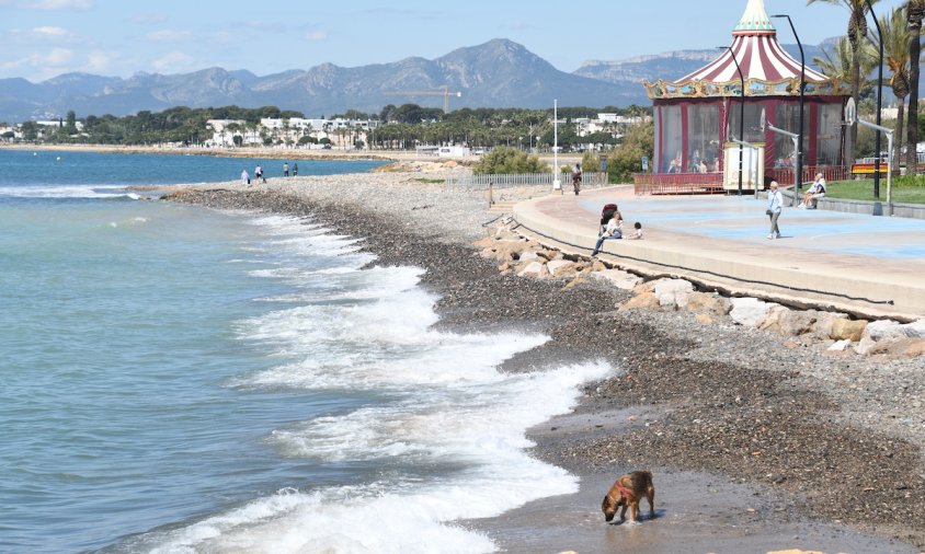 Aspecte de la platja de la Riera d'Alforja plena de pedres, a principis del passat mes de maig