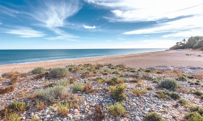 Platja de l'Estany Gelat de Mont-roig del Camp