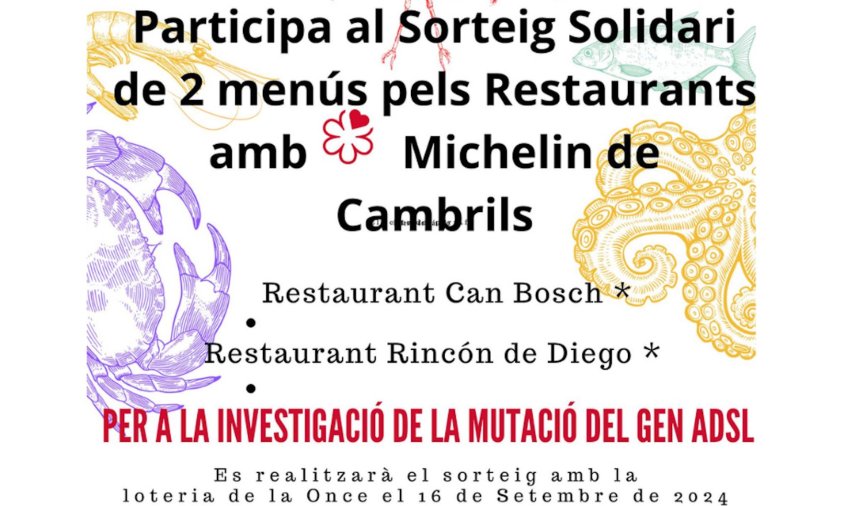 Cartell del sorteig solidari