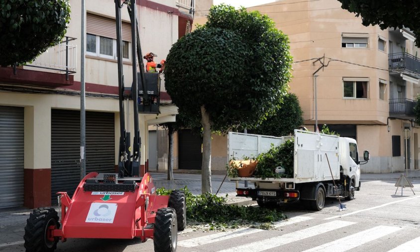 Els operaris estan podant aquesta semana l'arbrat que hi ha a la zona de l'Eixample Vila