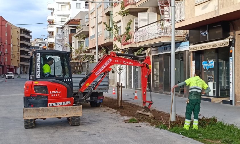 Jardiners retirant la gespa dels parterres, ahir al matí