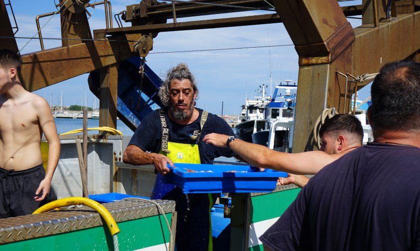 Pescadors descarregant peix al moll, el passat mes de juliol