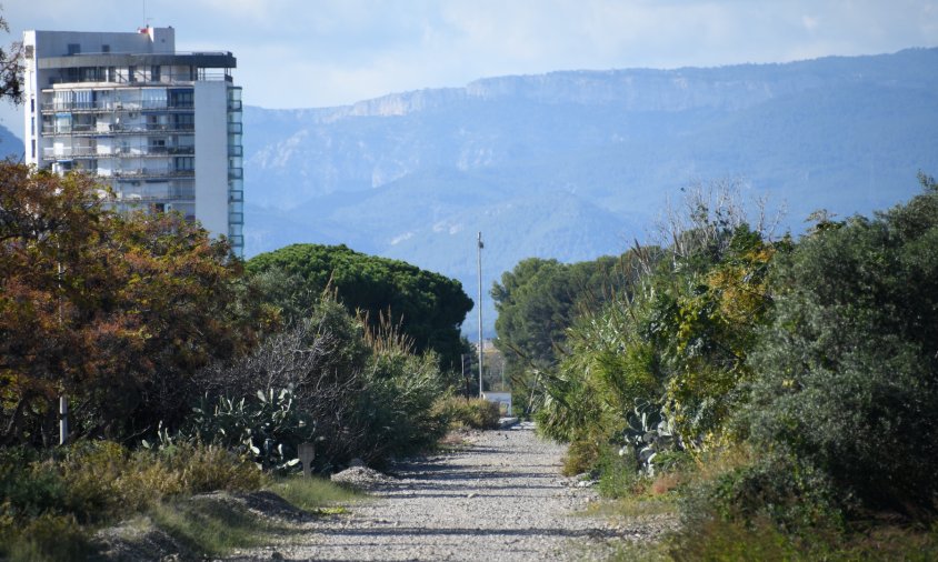 Una de les parades del TramCamp s'ubicarà al costat de la Torre de Cambrils