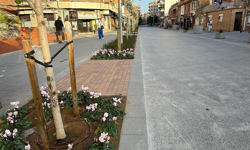 La nova jardineria ja llueix a la Rambla de Jaume I des de finals del mes de novembre