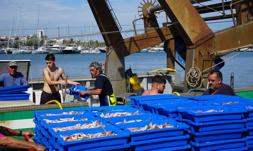 Pescadors cambrilencs descarregant peix al moll, el passat mes de juliol