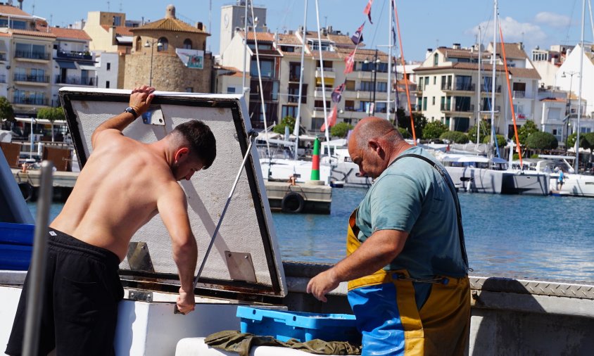 Pescadors triant el peix al port de Cambrils