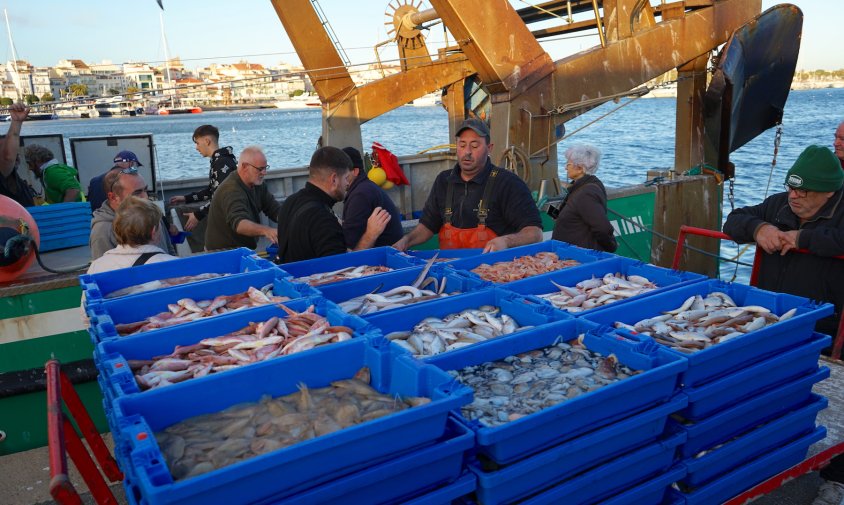 Pescadors descarregant al Port de Cambrils, el passat mes de desembre