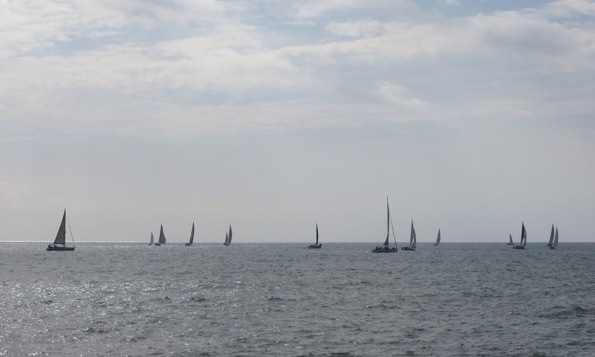 Imatge de la regata de Los Roques