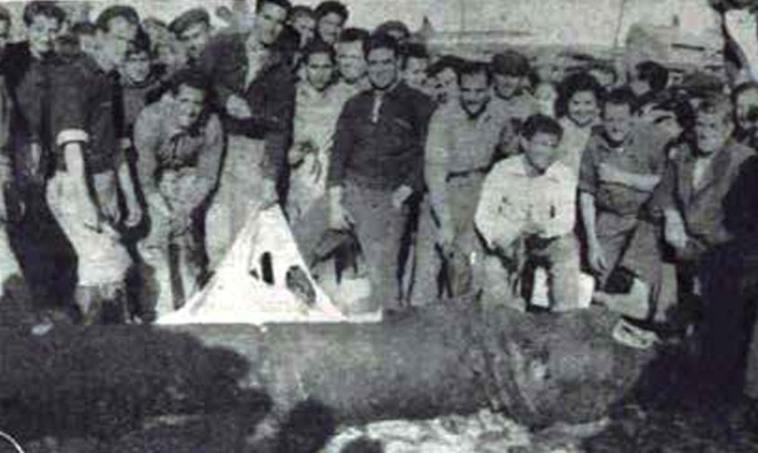 Captura d’un Catxalot a la Platja de Cambrils / Reus Semanario de la Ciudad (Reus) / 9 de maig de 1953