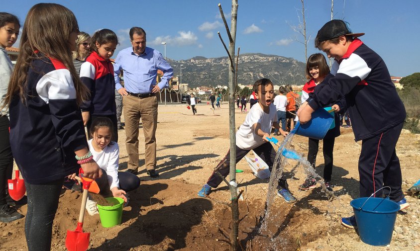 Celebració del Dia de l'Arbre a Vandellòs i l'Hospitalet de l'Infant