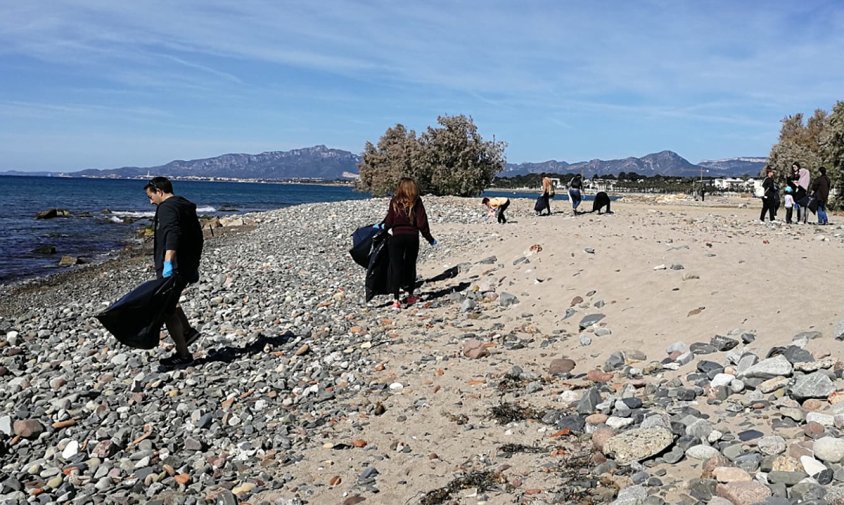 La neteja de platges es va fer a la desembocadura de la riera d'Alforja i a la platja del Regueral