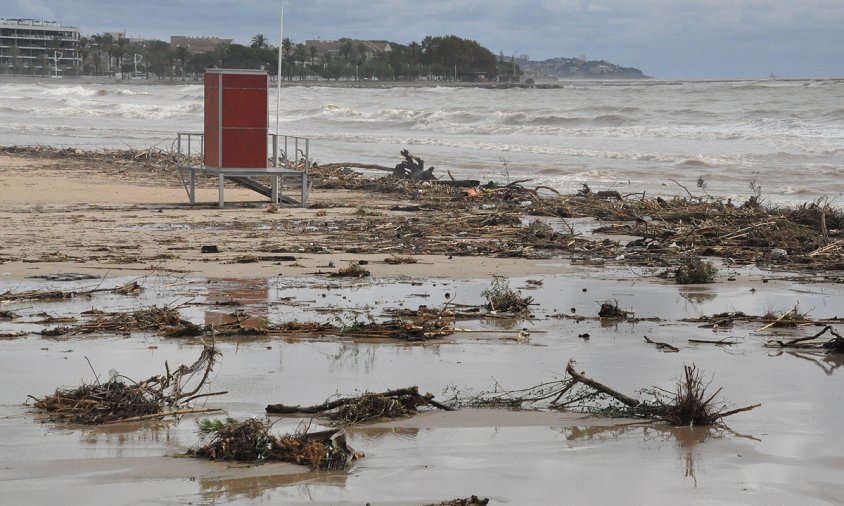 Aspecte de la platja del Regueral plena de branques, canyes i brossa