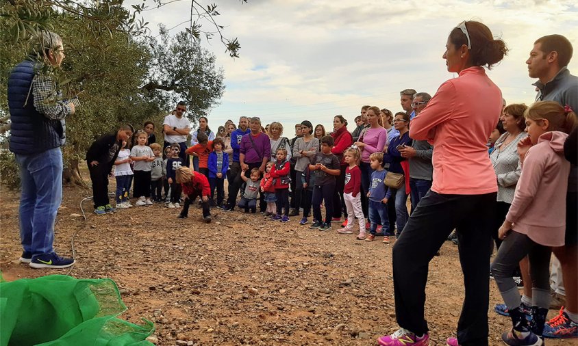 Un moment de la visita a una finca d'oliveres