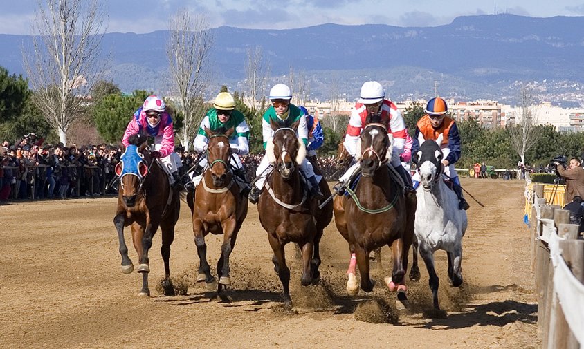 Curses de cavalls a Vila-seca, dins el cos de Sant Antoni