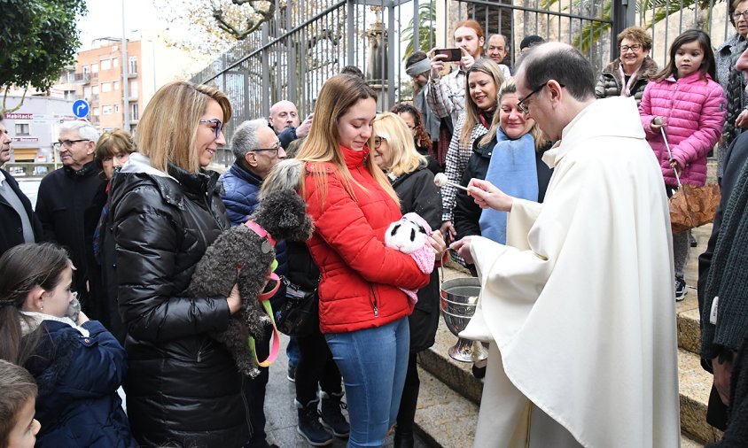 Benedicció dels animals a la sortida de missa de l'Ermita, ahir al matí