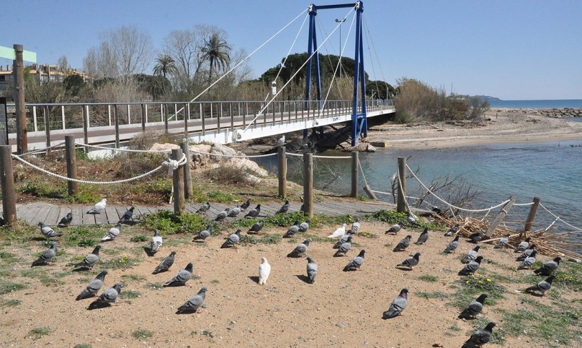 Pont del passeig litoral sobre la riera de Maspujols amb un estol de coloms en primer terme, ahir al migdia